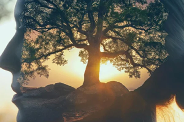 Mental & Emotional Well-being